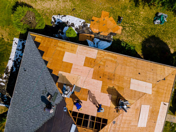 Best Roof Repair Services  in Oakley, KS