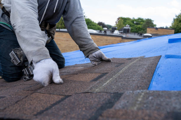 Best Roof Maintenance Services  in Oakley, KS